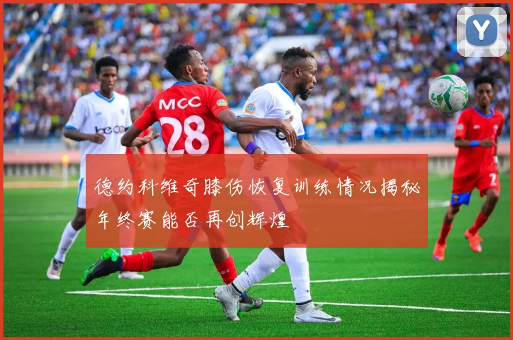 德约科维奇膝伤恢复训练情况揭秘年终赛能否再创辉煌