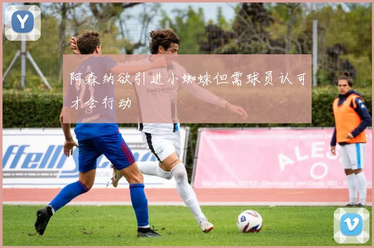 阿森纳欲引进小蜘蛛但需球员认可才会行动